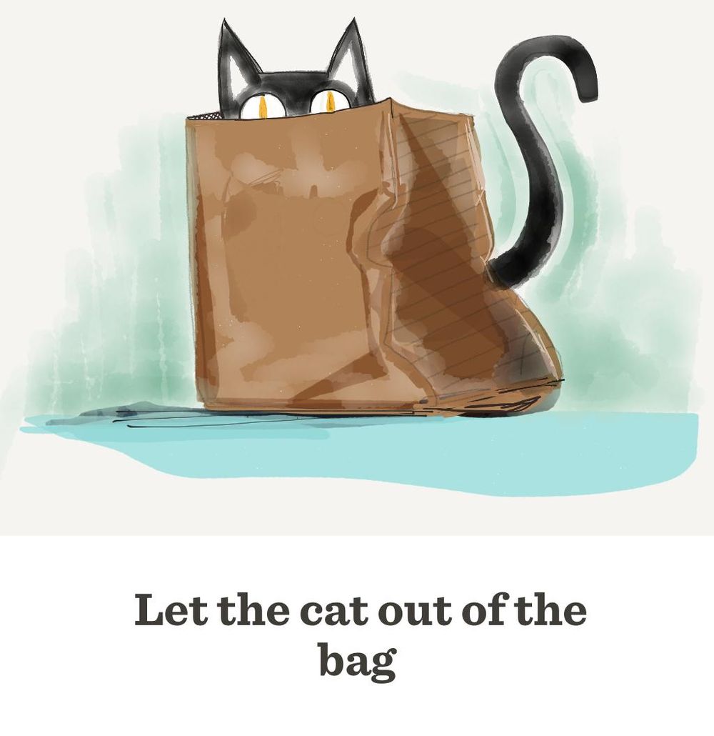 Let the cat out the bag - image 3 - student project