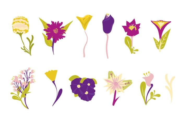 Future Floret - image 1 - student project