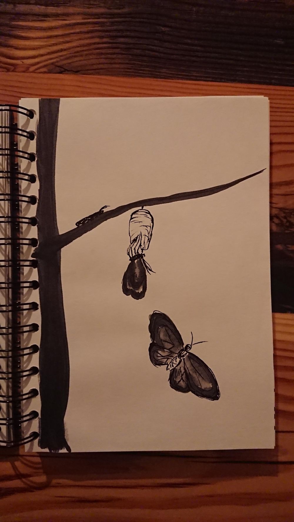 14 day challenge - image 5 - student project