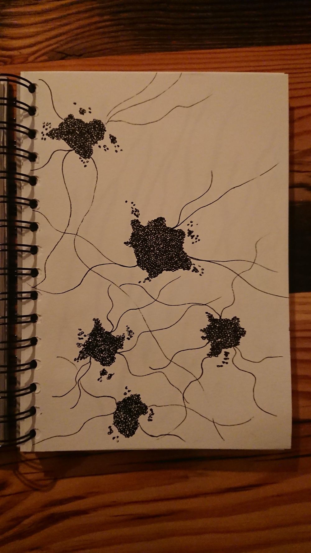 14 day challenge - image 12 - student project