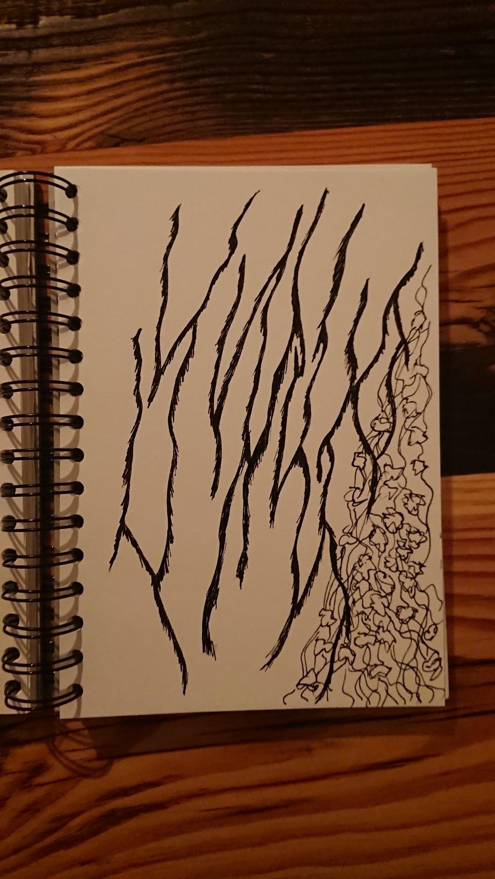 14 day challenge - image 13 - student project