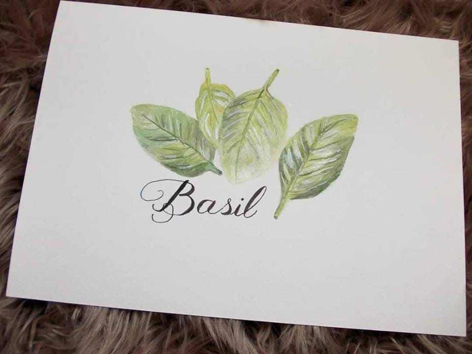 Botanical painting - image 1 - student project