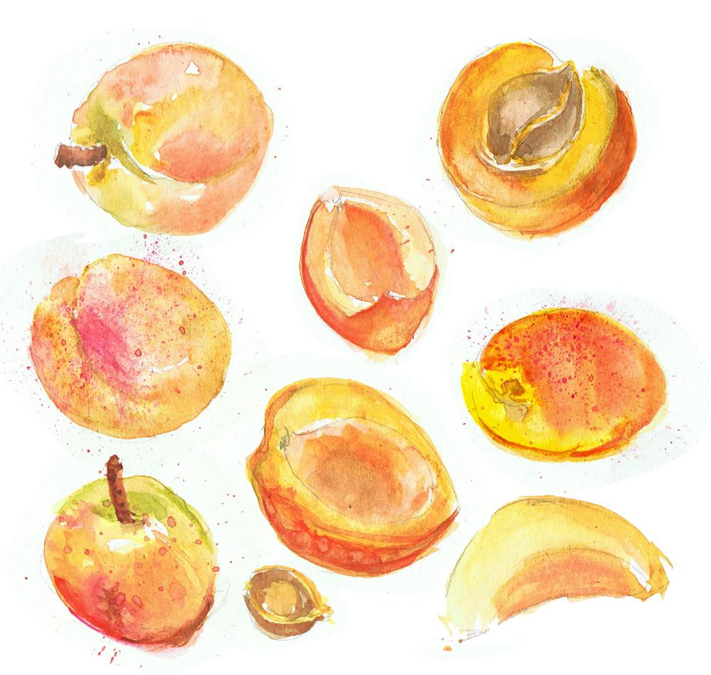 Watercolour story: Explore with colour - image 1 - student project