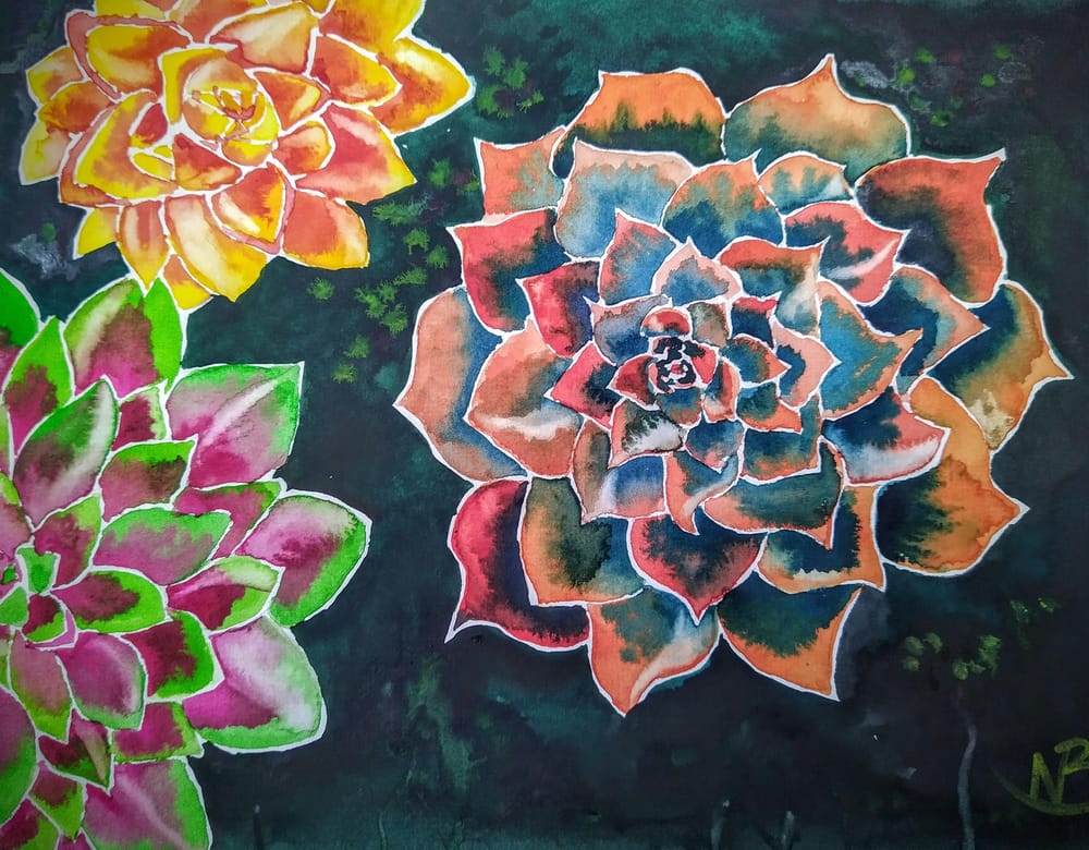 Strange Succulents - image 1 - student project