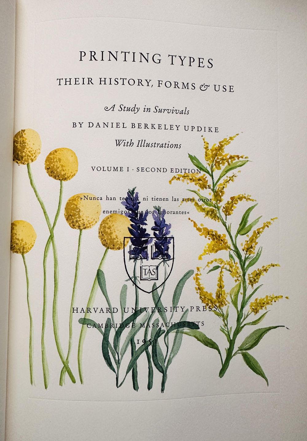 Flowers painted in an old book - image 1 - student project