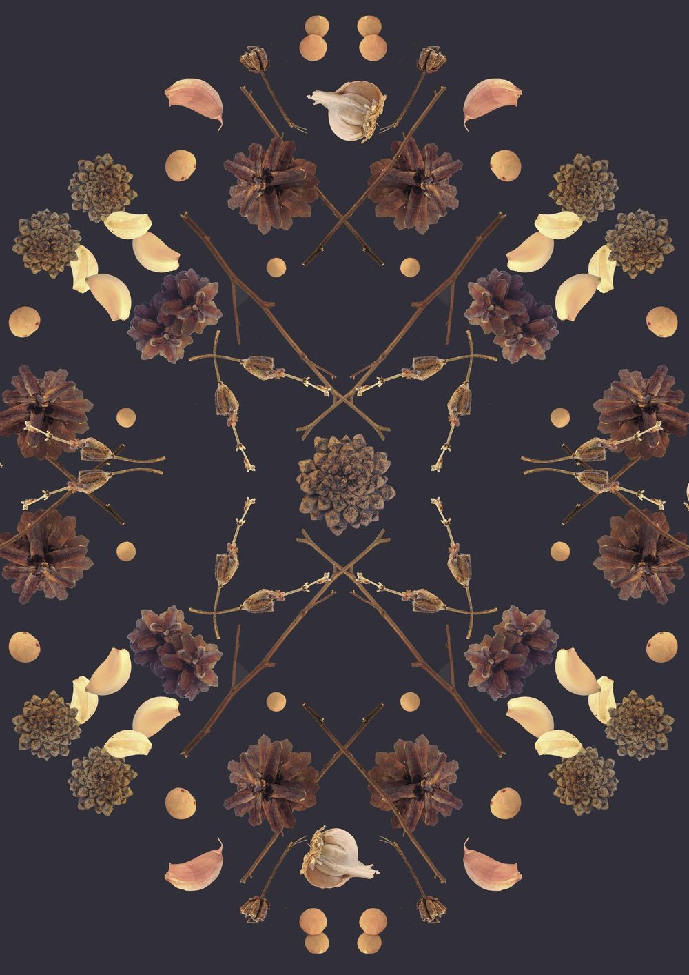 branches, garlic, cones and lentil - image 6 - student project