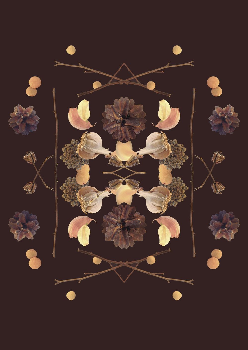 branches, garlic, cones and lentil - image 4 - student project