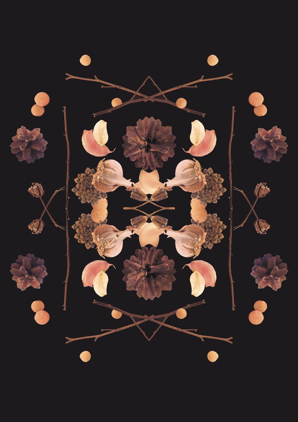 branches, garlic, cones and lentil - image 1 - student project