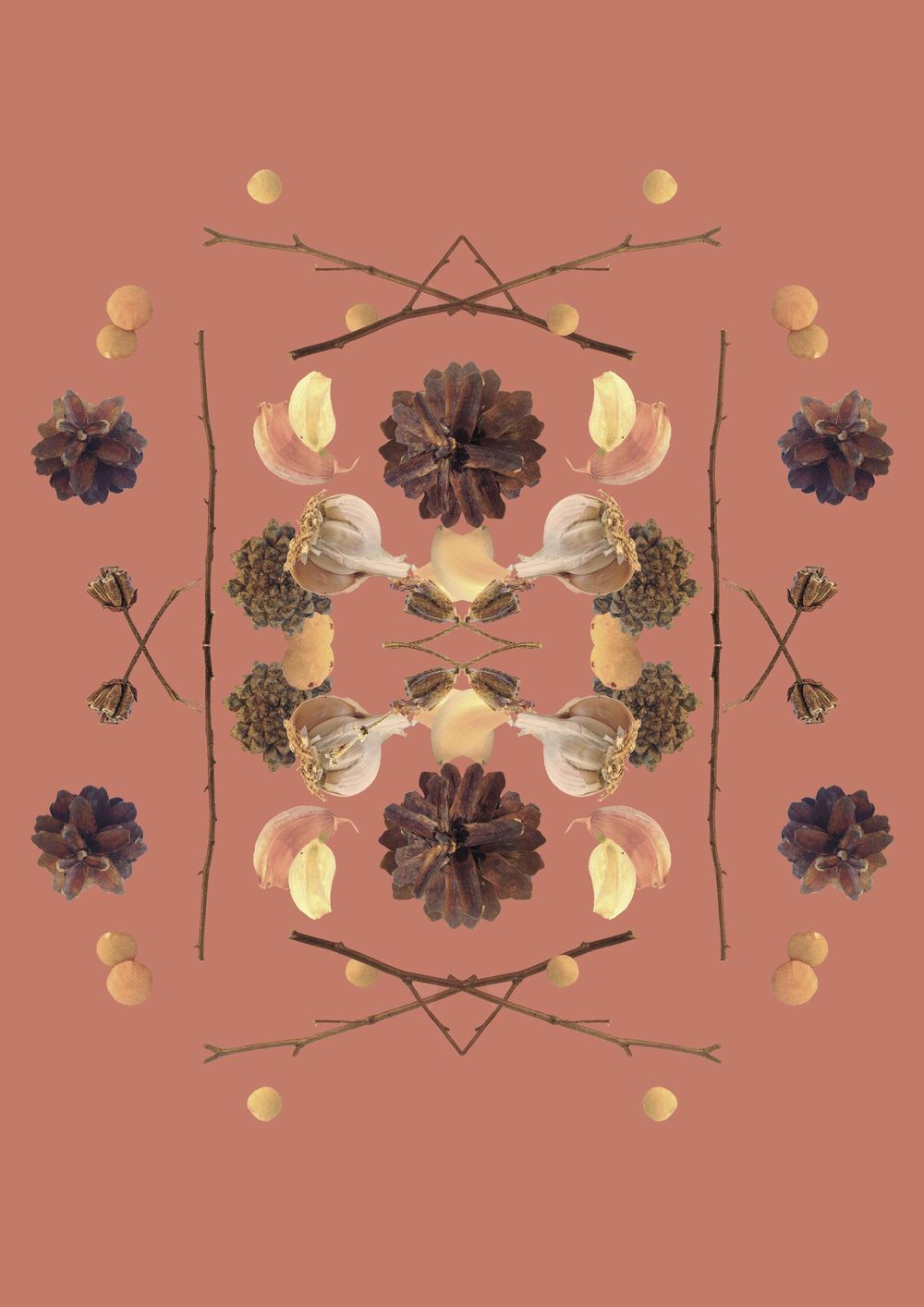 branches, garlic, cones and lentil - image 3 - student project