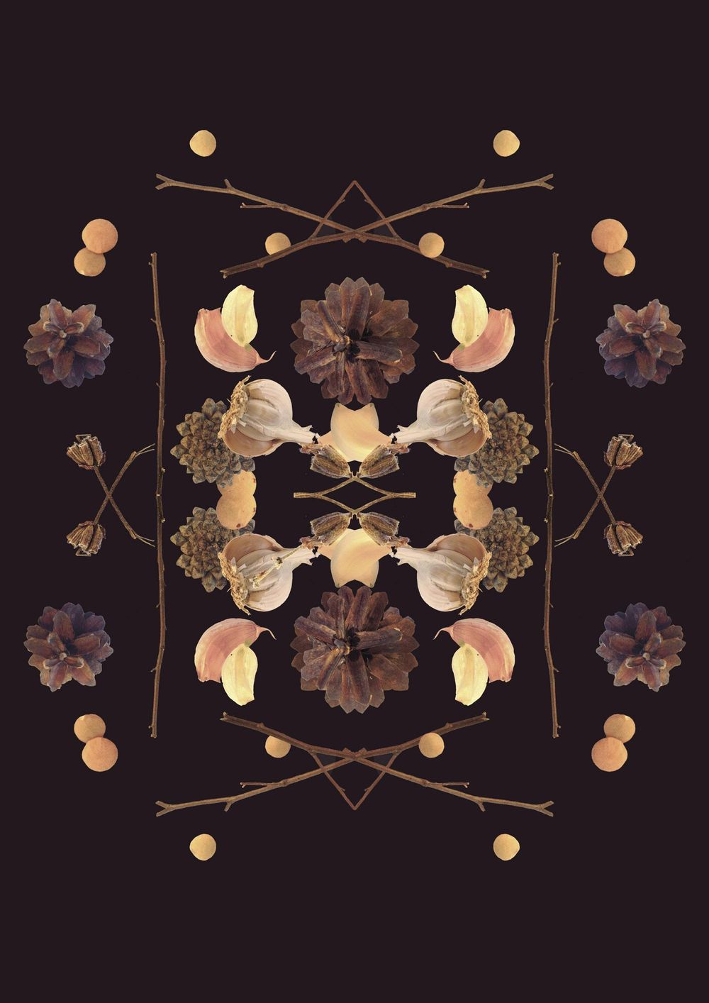 branches, garlic, cones and lentil - image 5 - student project