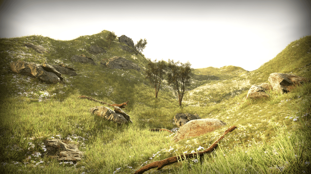 The Hill Forest - image 1 - student project
