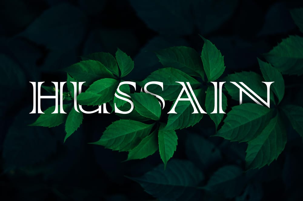 Hussain Project - image 2 - student project