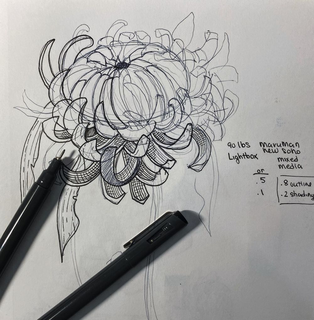 Ink Chrysanthemum - image 2 - student project
