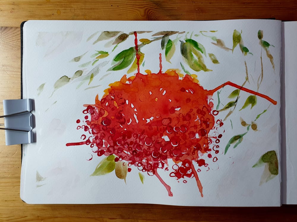 Levelling up my watercolour skills - image 4 - student project