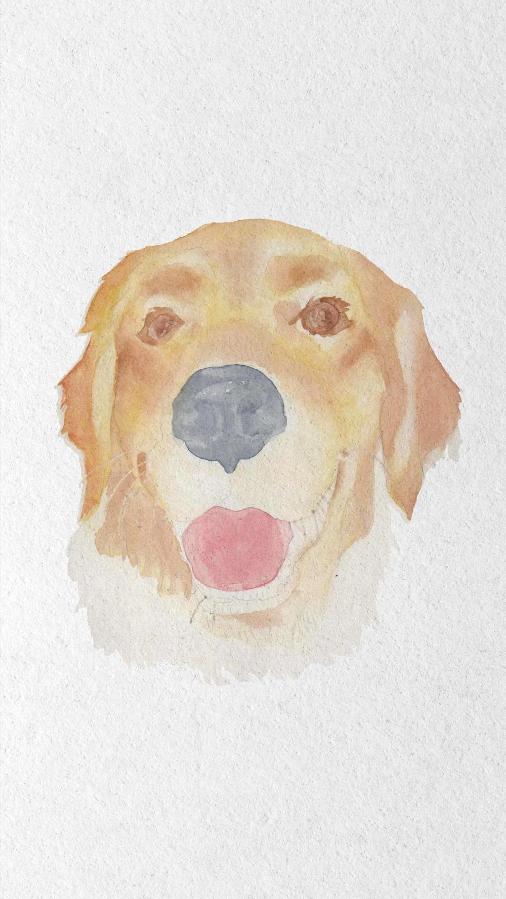 Golden Retriever - image 2 - student project