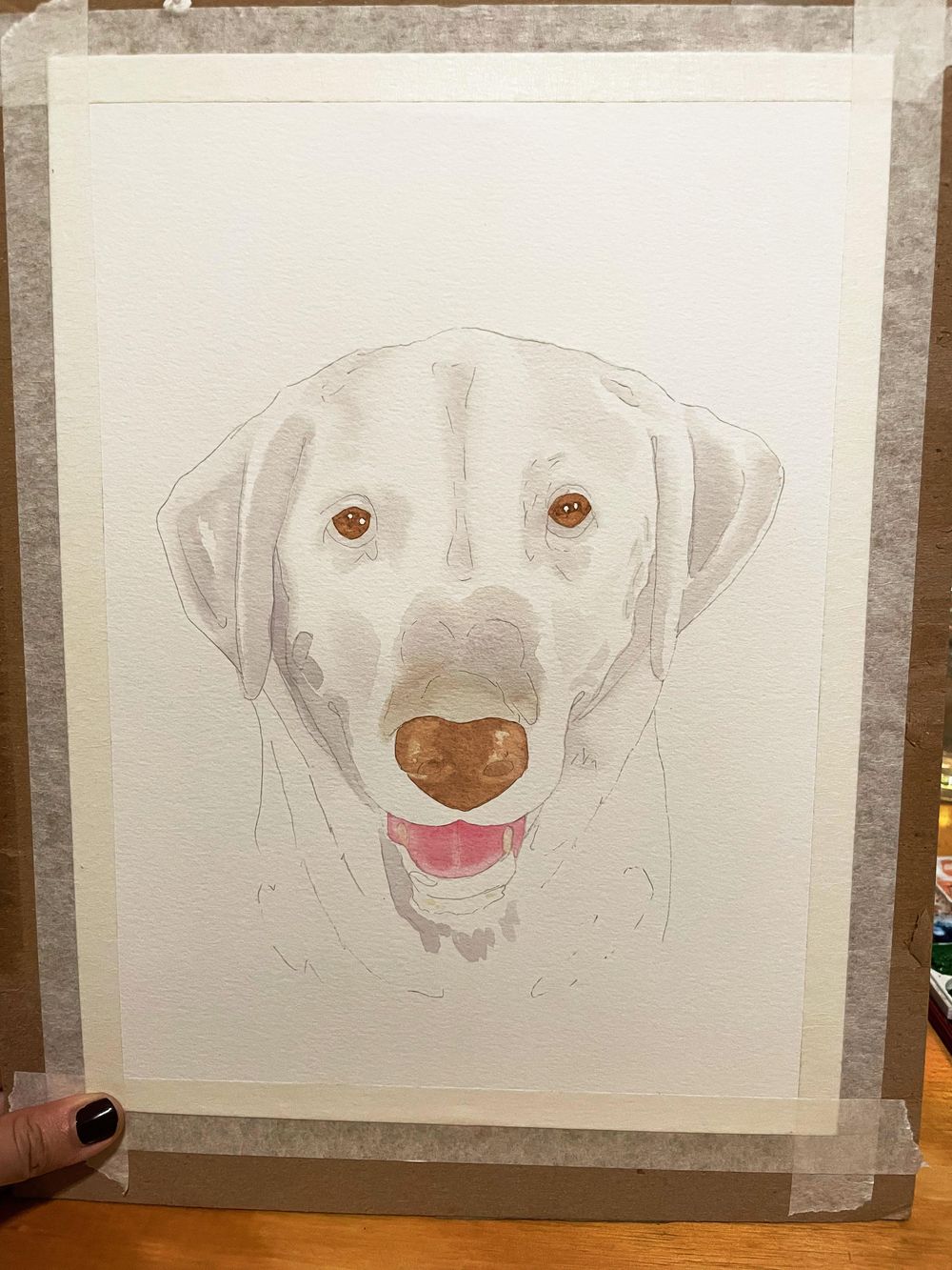 labrador blanco - image 2 - student project
