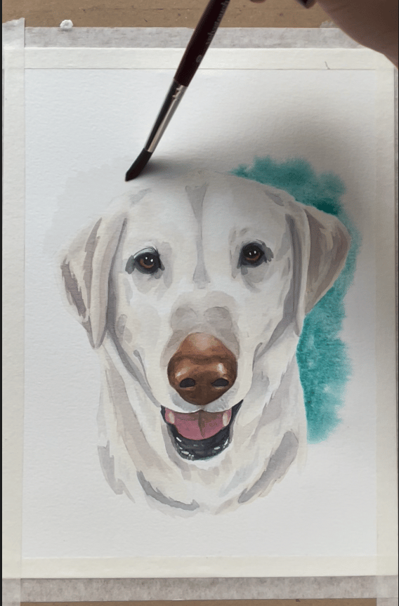 labrador blanco - image 3 - student project