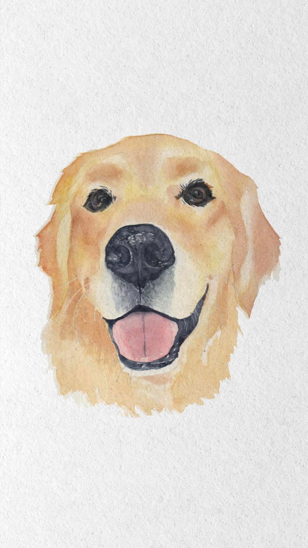 Golden Retriever - image 3 - student project