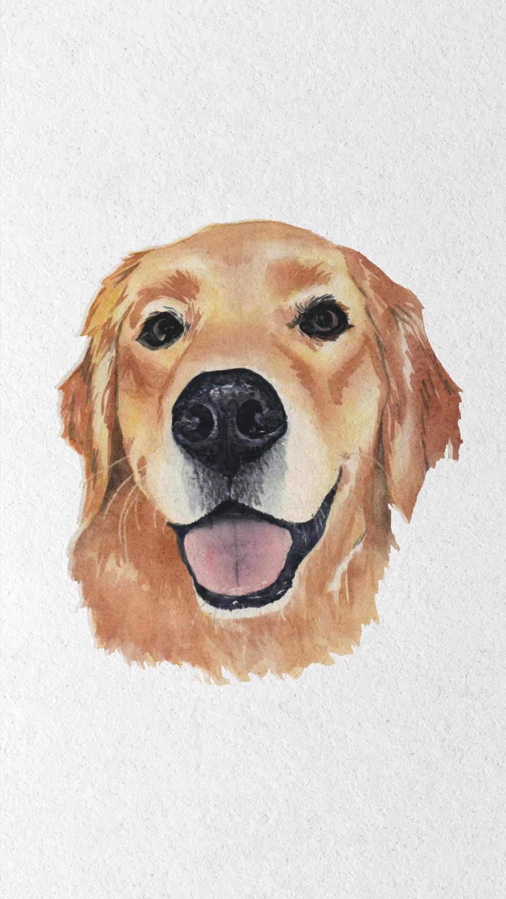 Golden Retriever - image 5 - student project
