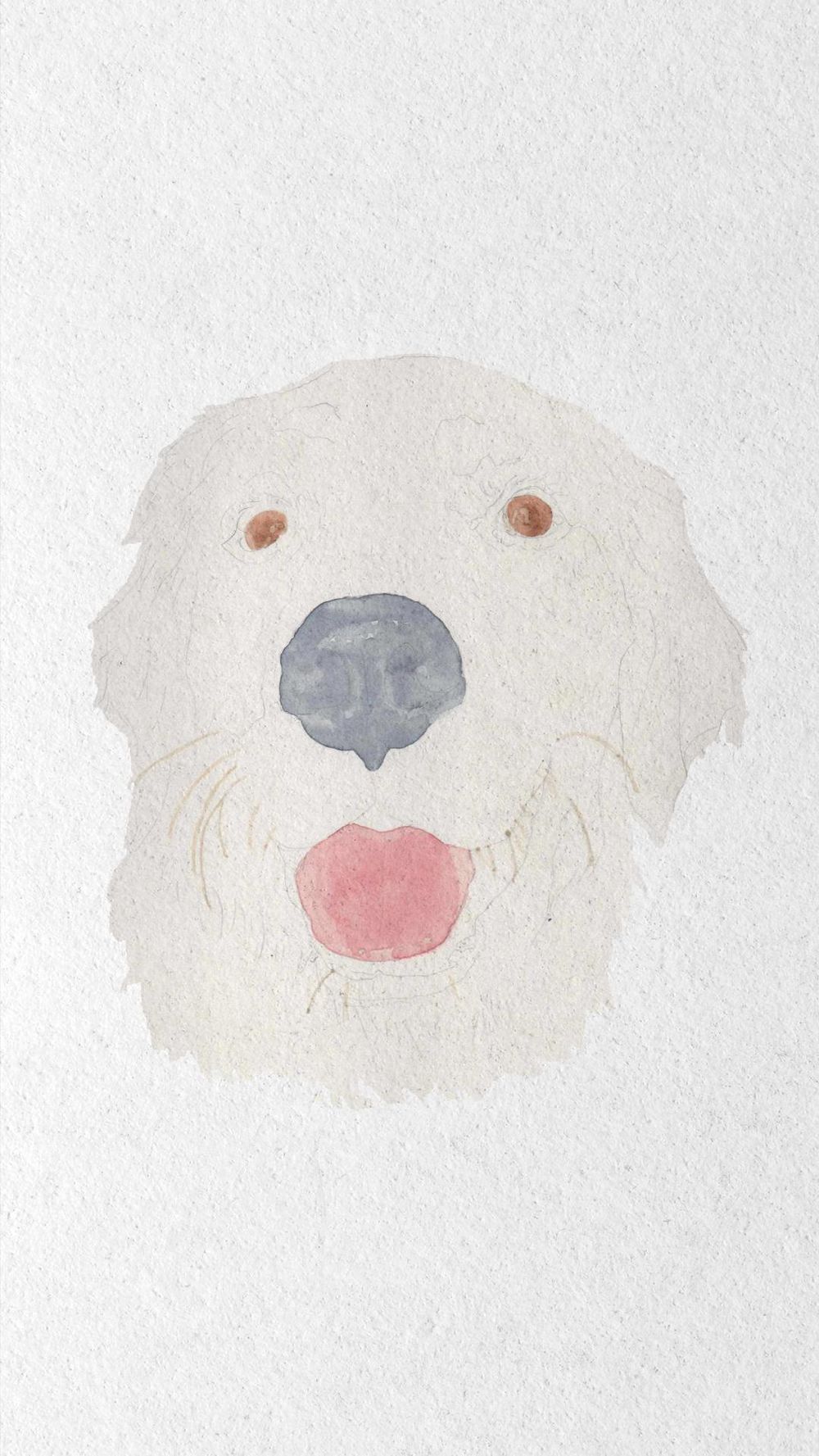 Golden Retriever - image 1 - student project