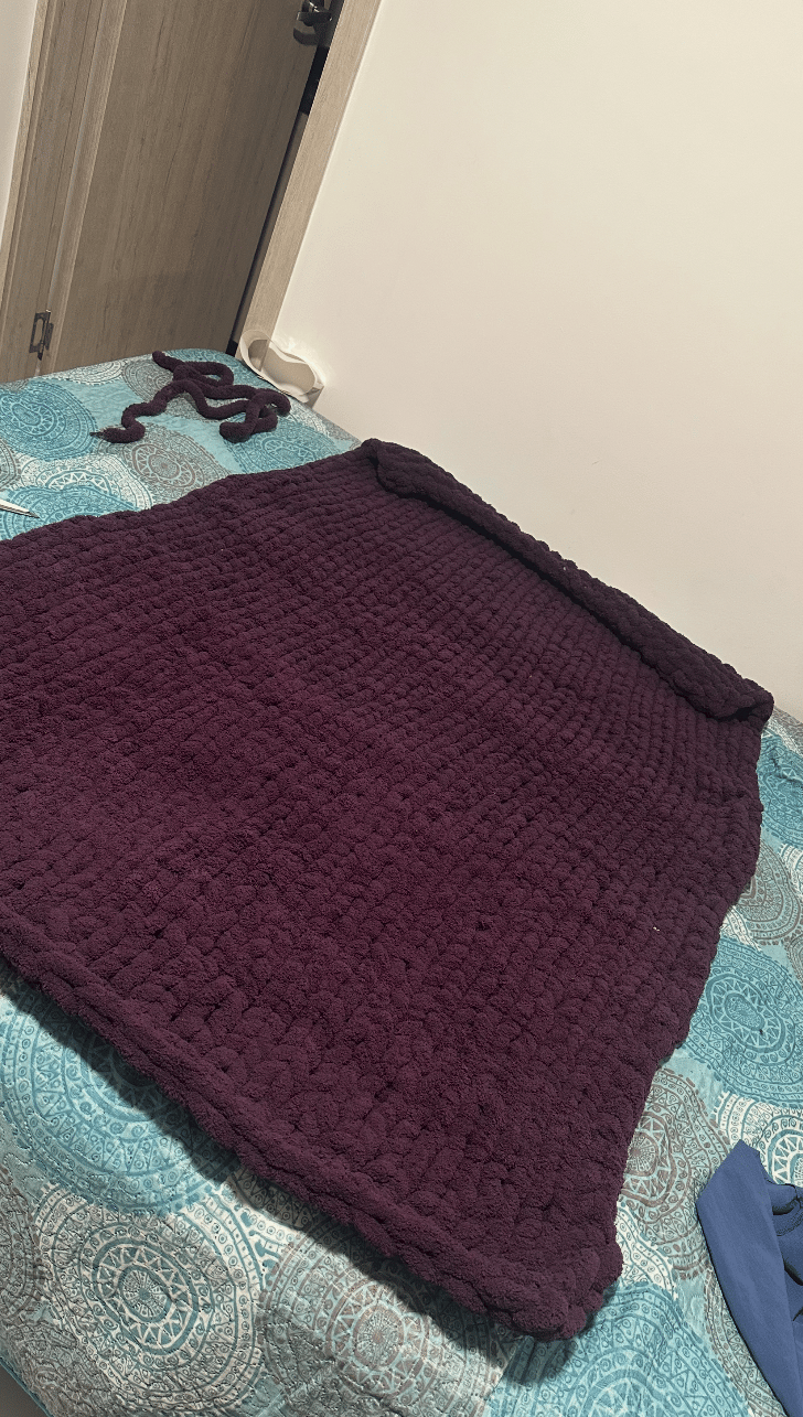 My first handmade blanket - image 2 - student project
