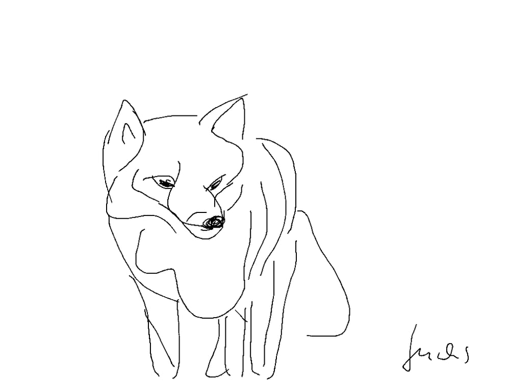 Creatures line drawing - image 2 - student project
