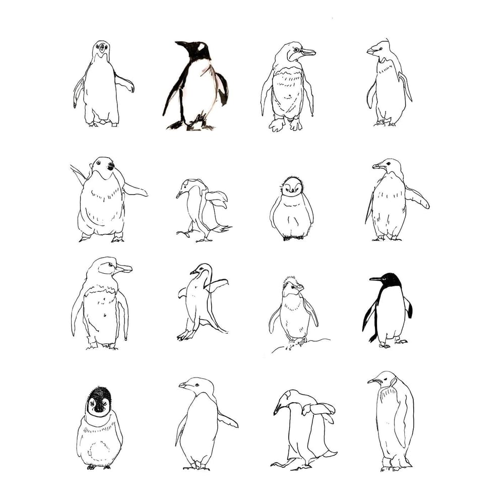 Creatures line drawing - image 4 - student project