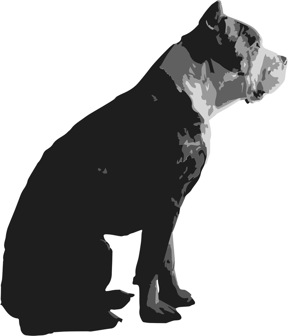 Live Image Trace - image 1 - student project