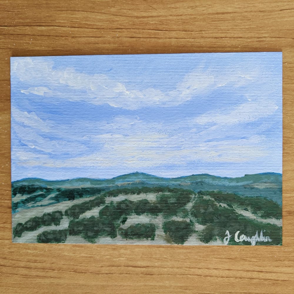 One Tree Hill - image 5 - student project