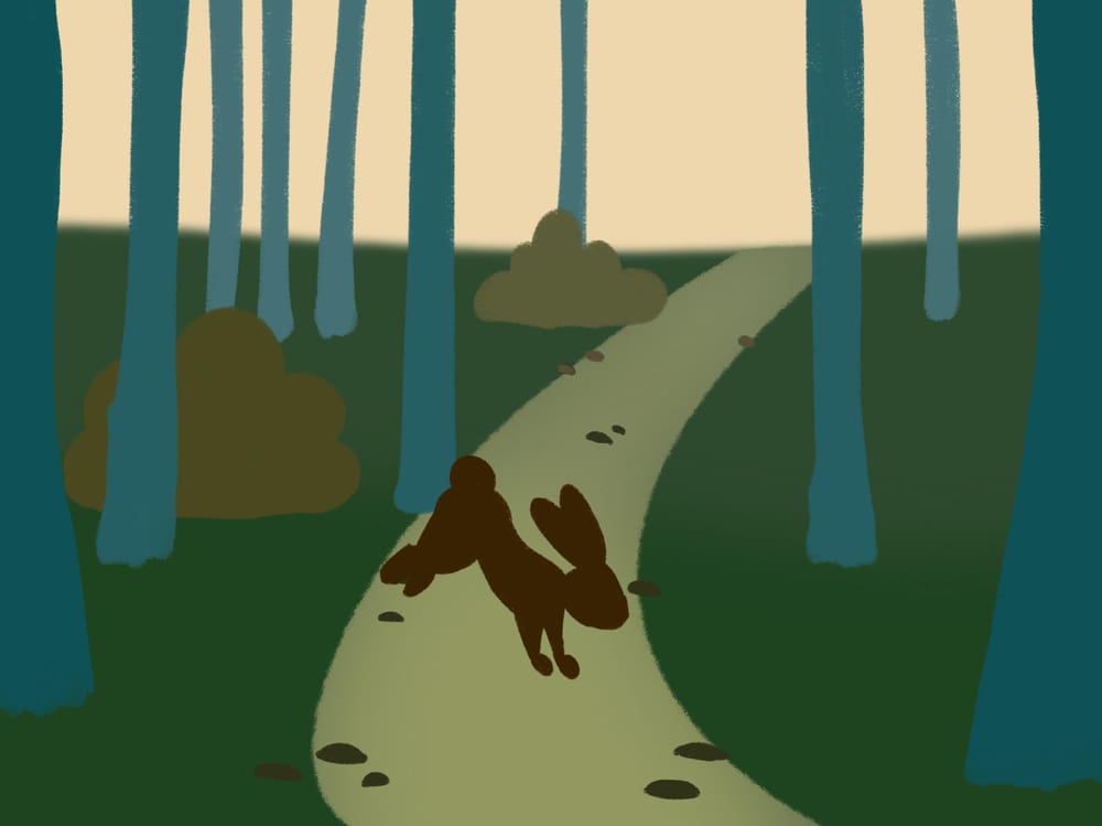 Forest scene - image 1 - student project