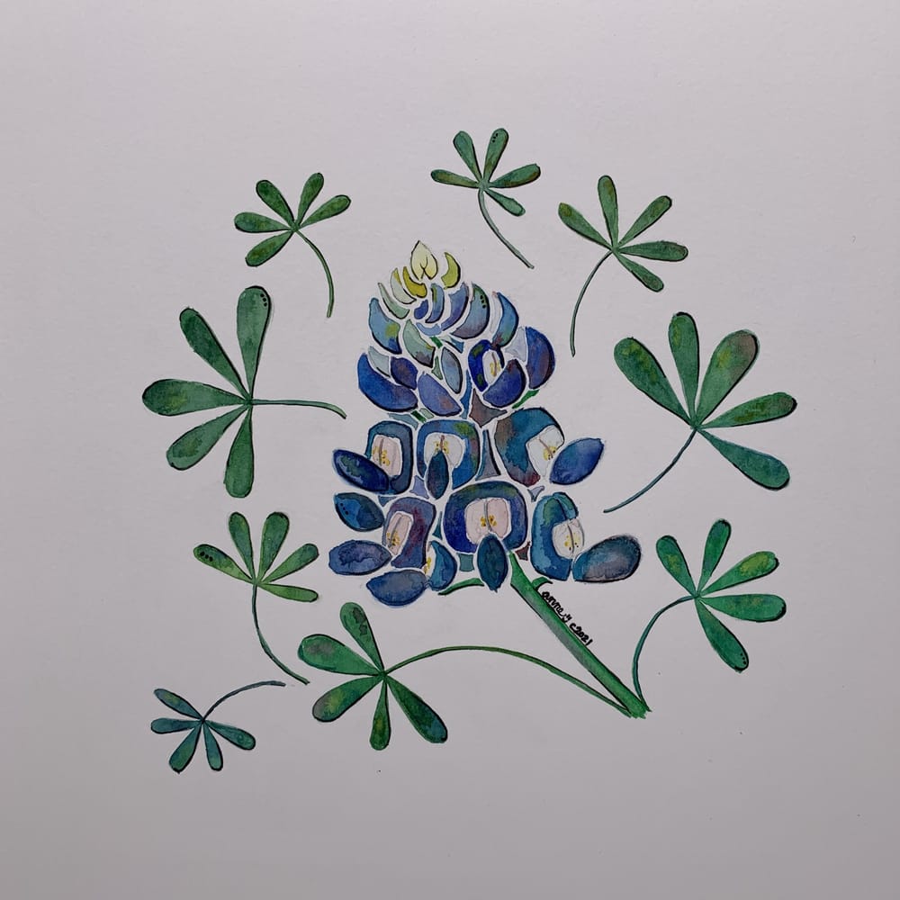 New Style for Bluebonnets - image 2 - student project