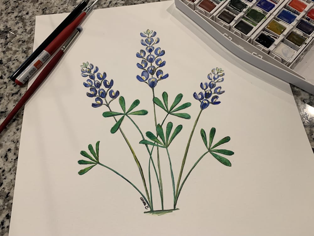 New Style for Bluebonnets - image 1 - student project