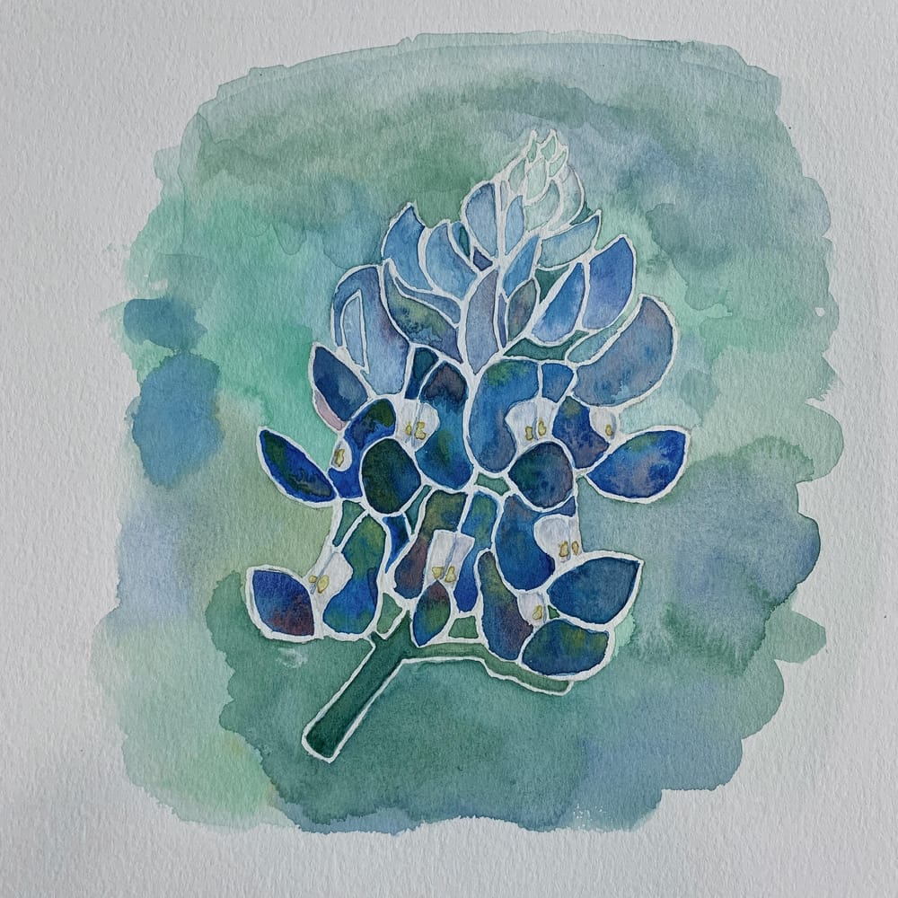 New Style for Bluebonnets - image 3 - student project