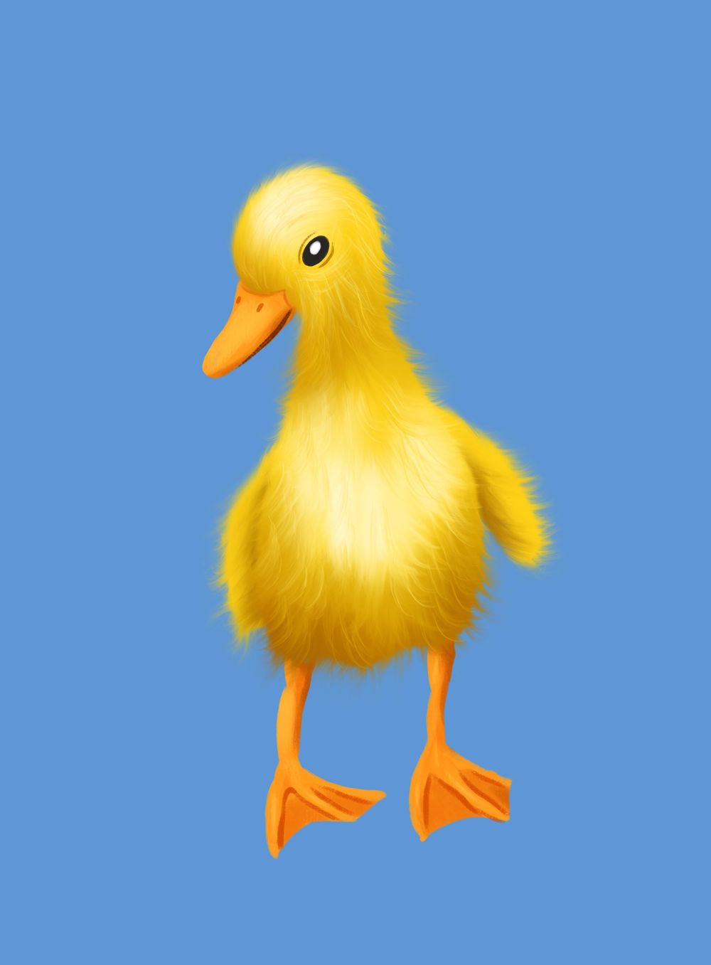 Furry Animal Illustrations! - image 3 - student project