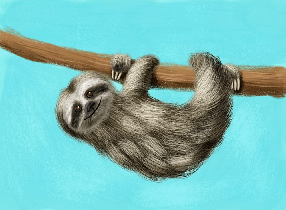 Furry Animal Illustrations! - image 1 - student project