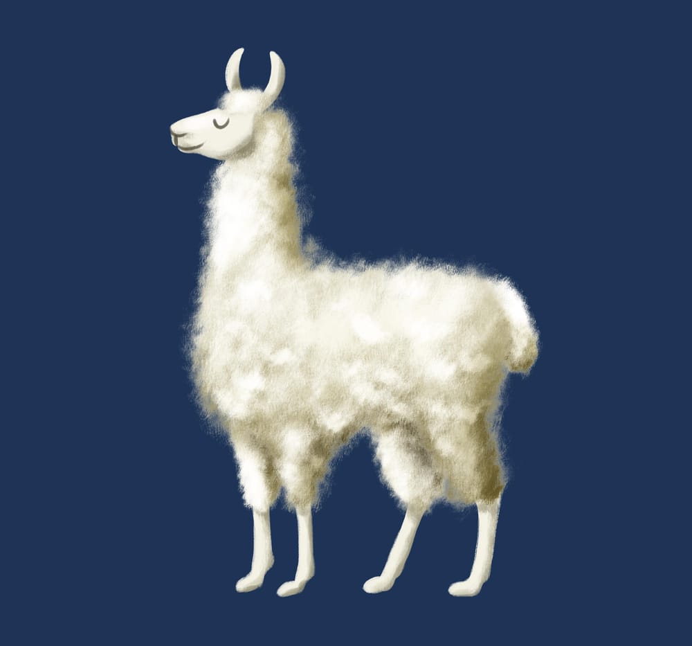 Furry Animal Illustrations! - image 2 - student project