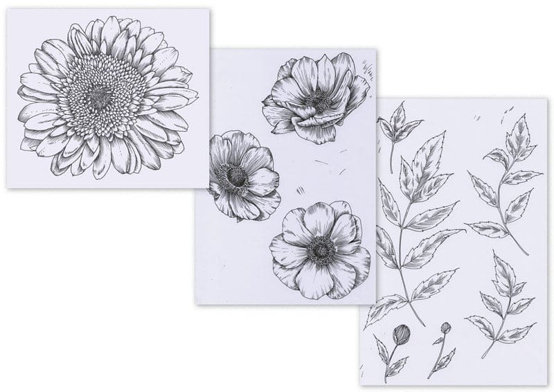 Botanical Summer Placement Print & Mockup - image 1 - student project