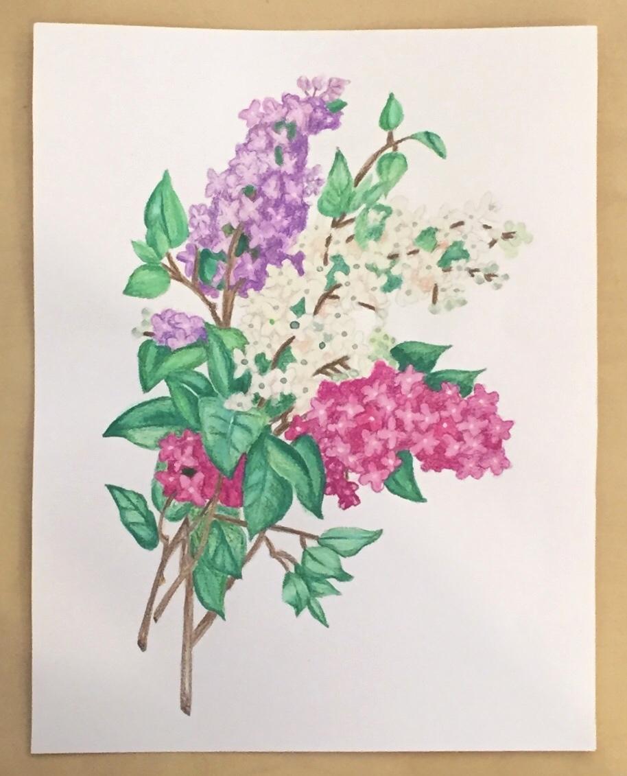 Vintage Inspired Botanical Illustration - image 1 - student project