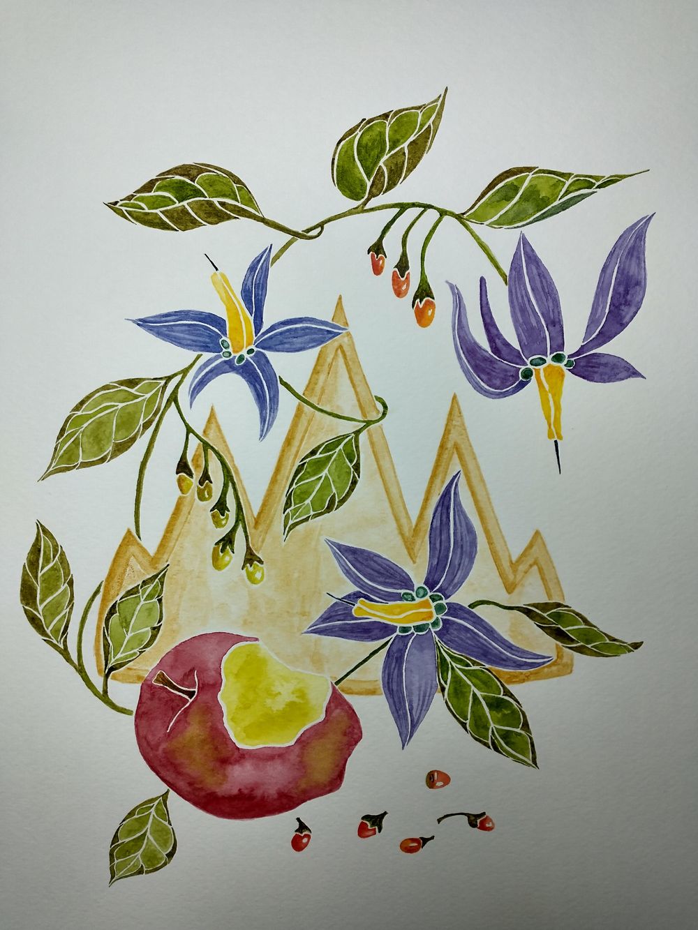fruit and floral nightshade - image 1 - student project