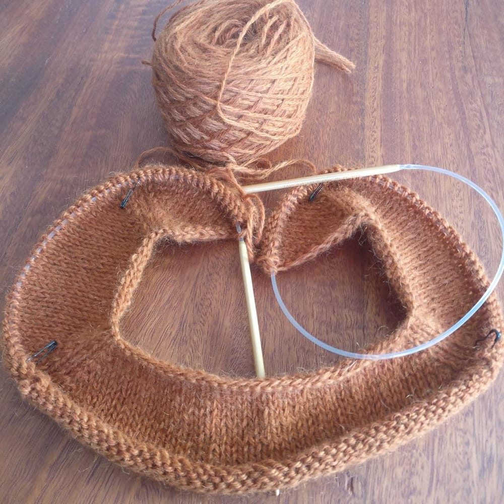 Golden Brown Raglan - image 1 - student project