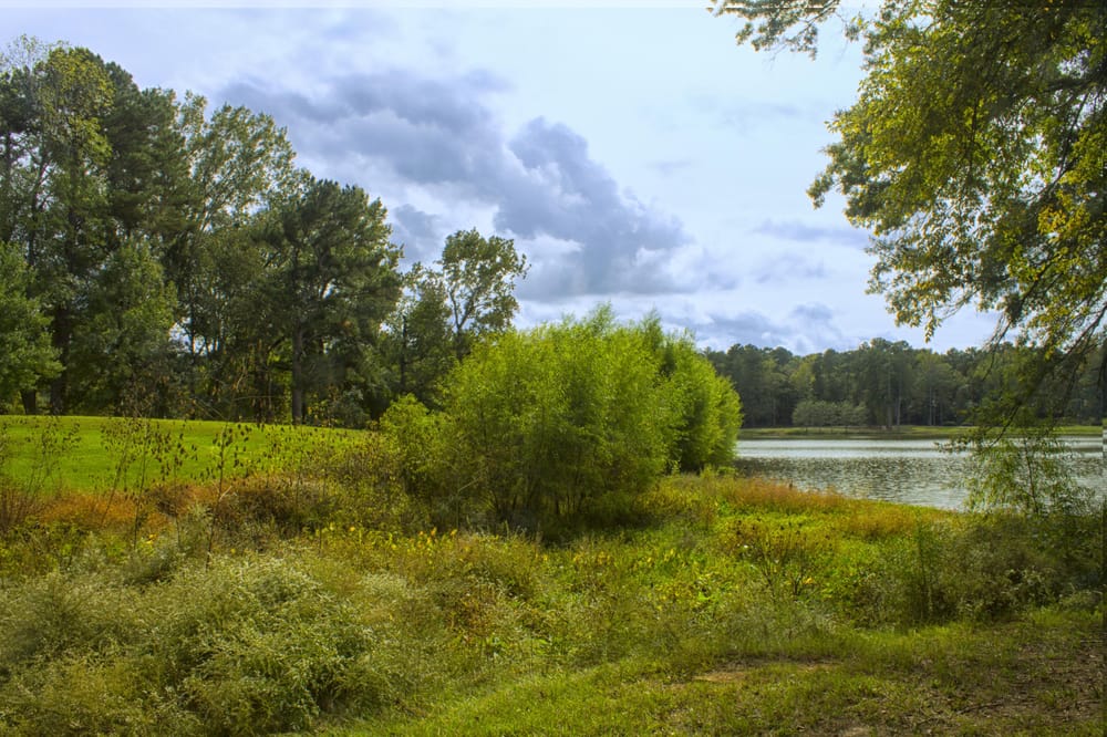 Cooper Creek Park Photography Project - image 2 - student project