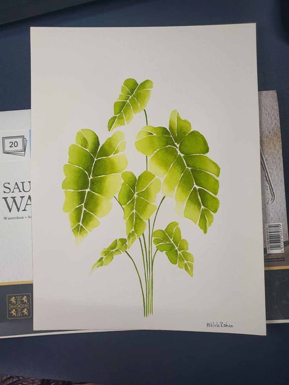 Alocasia - image 1 - student project