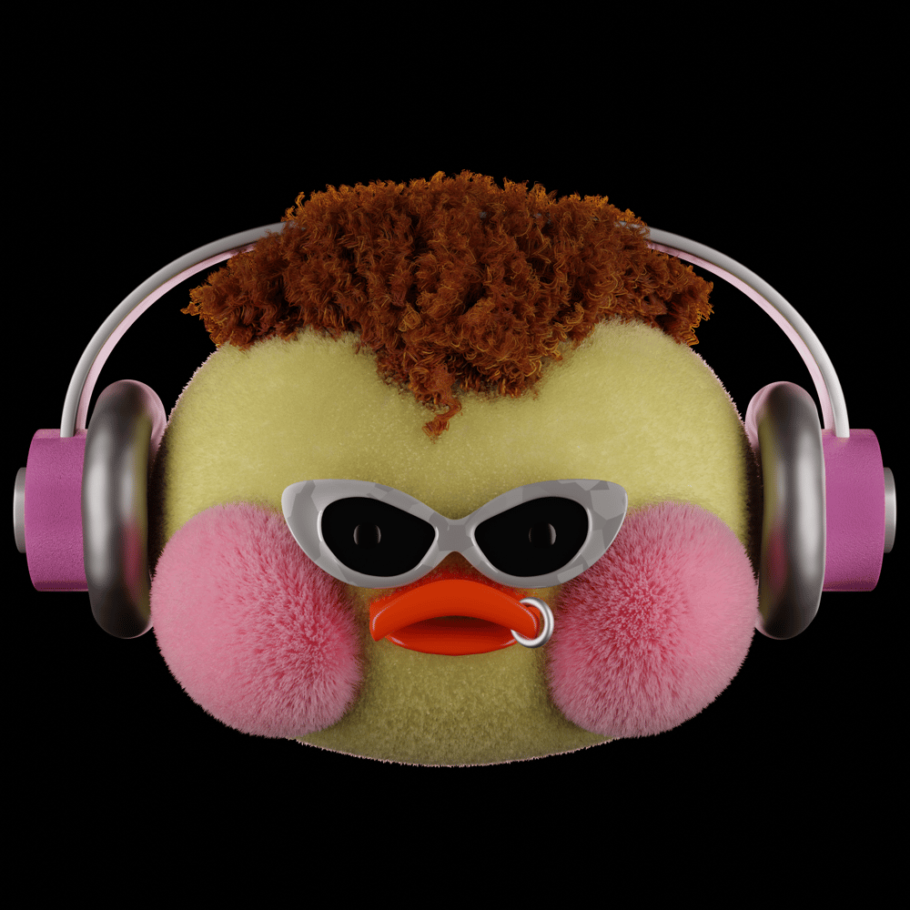 My Duck :) - image 1 - student project