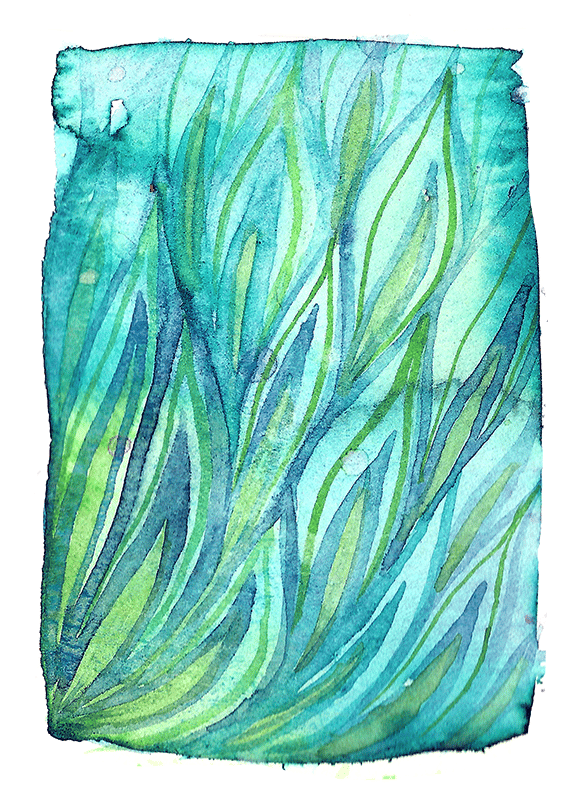 Peacock Textures - image 1 - student project