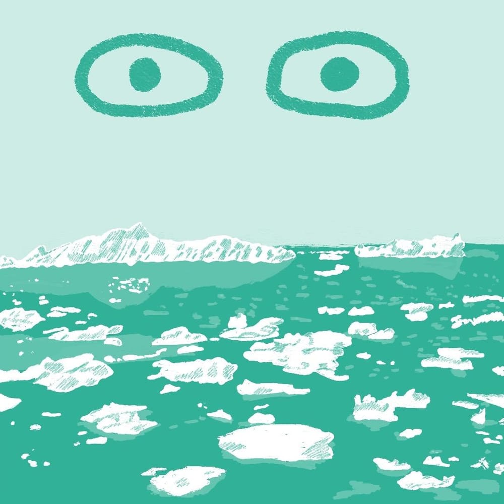 Grow and Cataract = Seeing our Disappearing Planet - image 1 - student project