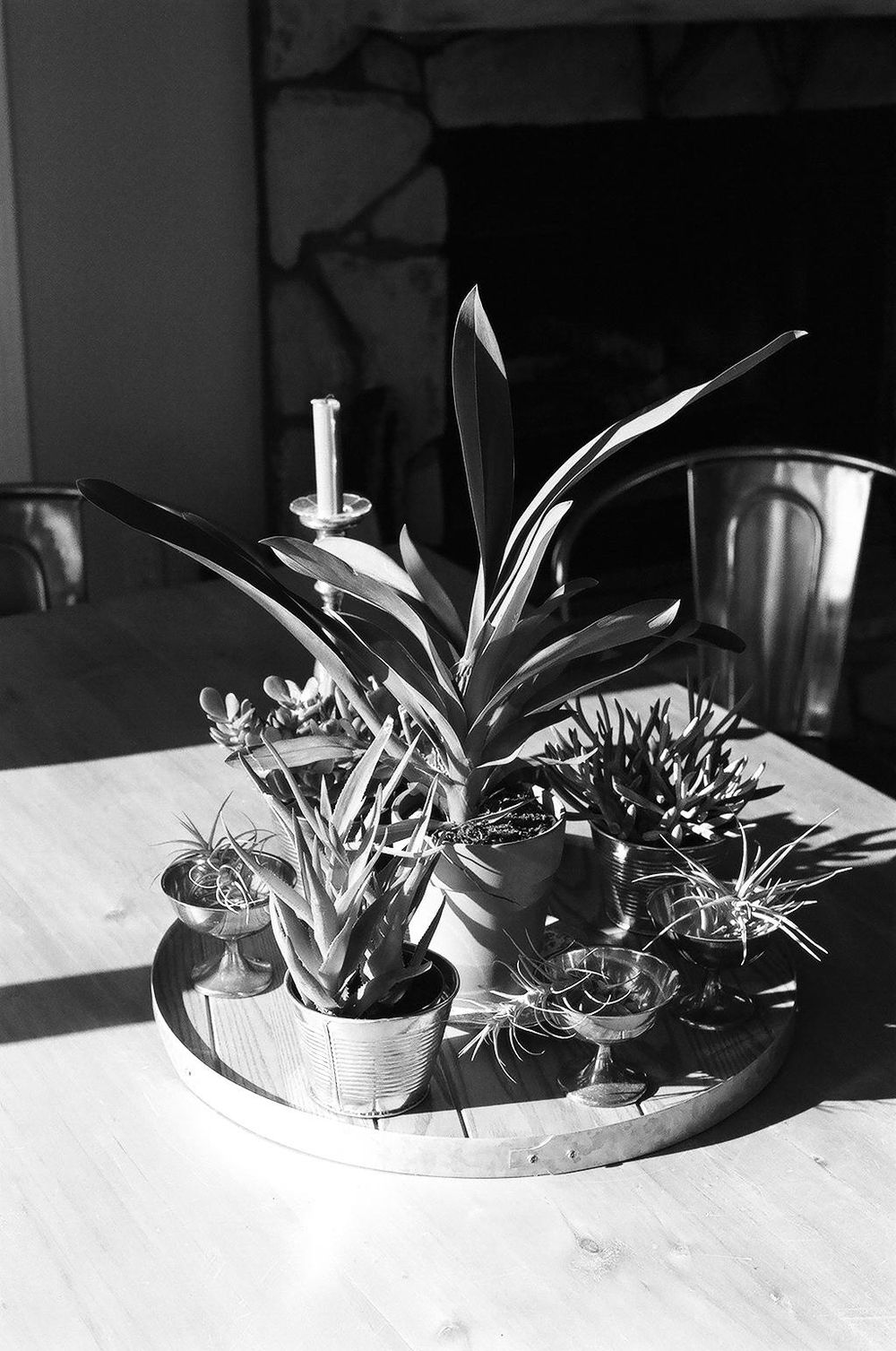 Northern CA in B&W - image 2 - student project