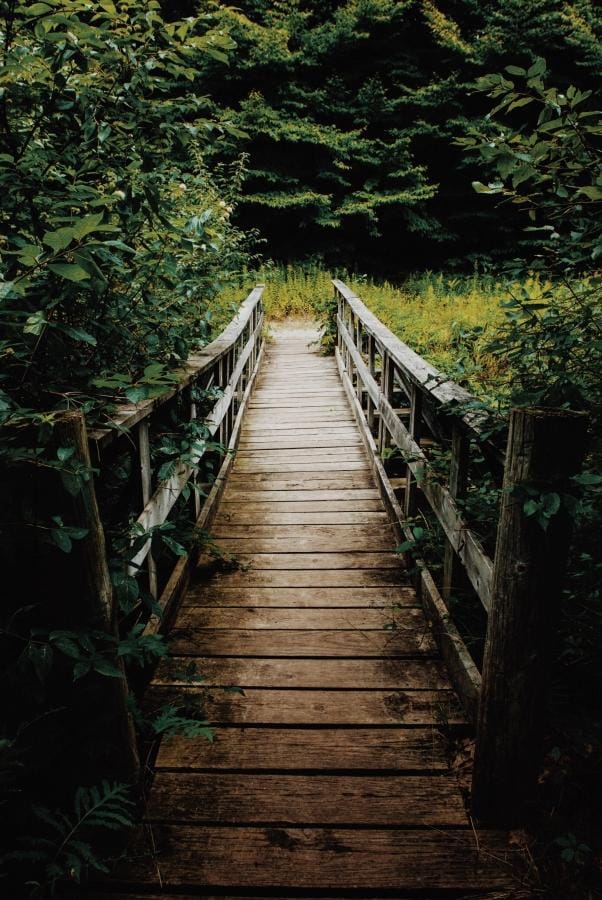 Adventures Back Home - image 3 - student project
