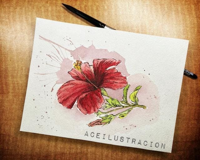 Hibiscus - Tropical Flowers - image 1 - student project