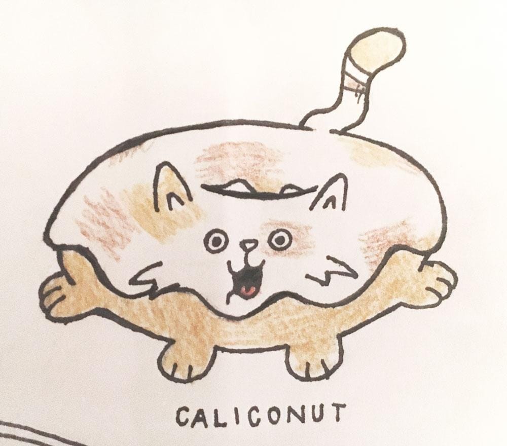 Caliconut - image 2 - student project