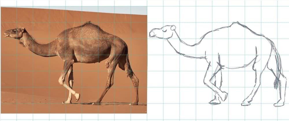 Learn how to draw workshop - image 5 - student project